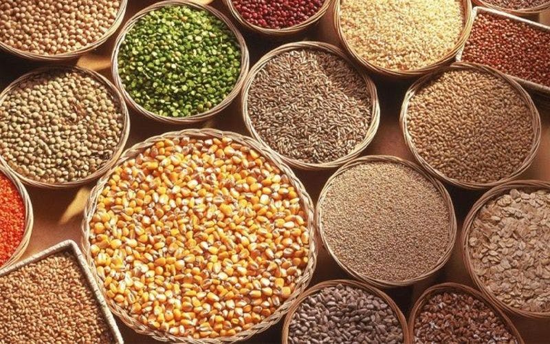 Take Charge of Your Health: Unveiling the Hidden Power of Whole Grains