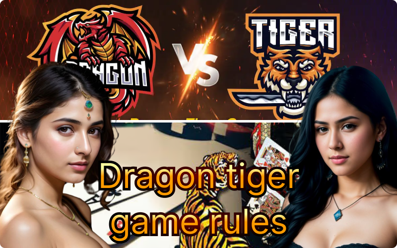 Dragon tiger game rules001.png