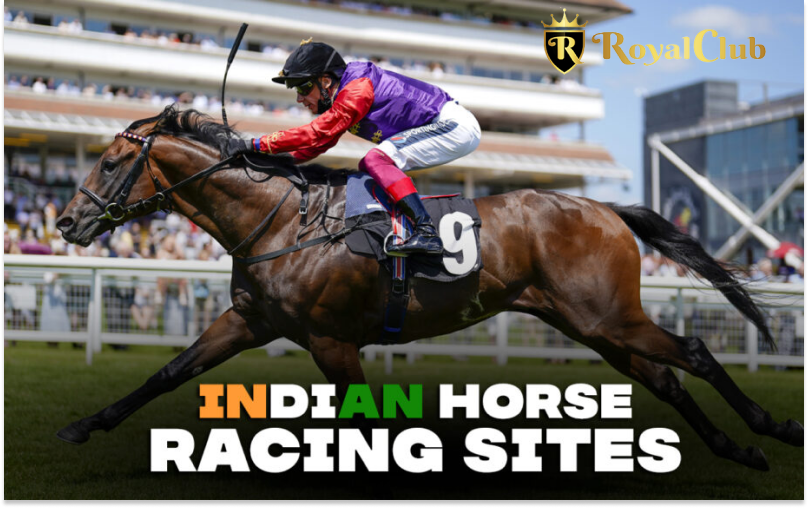 Top-Websites-for-online-Horse-Race-Betting-in-India.png