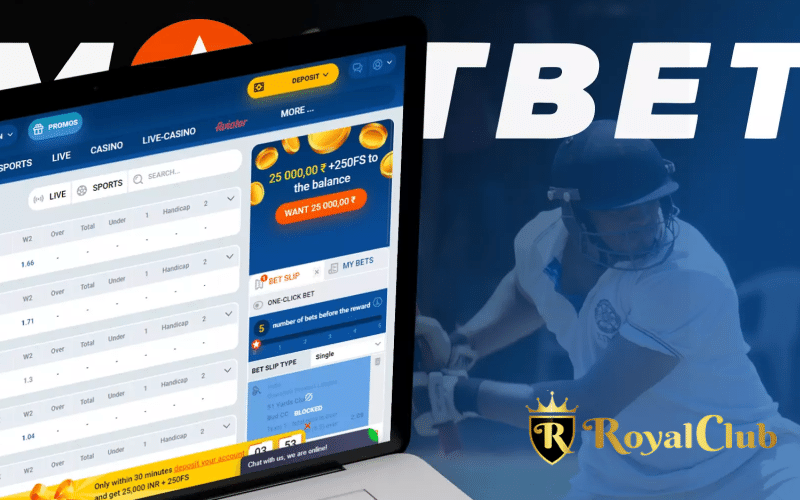 Best-Cricket-Betting-Apps-in-August-India-2023-by-Royal-Club.png