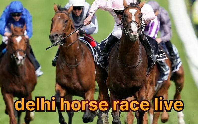Delhi Horse Race Live: The Hindu Horse Racing Tips for Betting in India