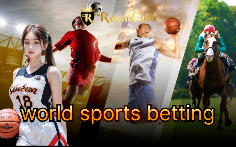 Bet on Your Favorite Sports Today at Bet365 Online Sports Betting